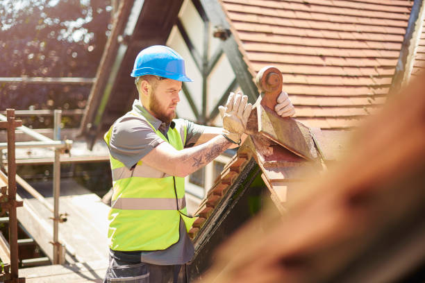 Professional Roofing Contractor in Wyboo, SC